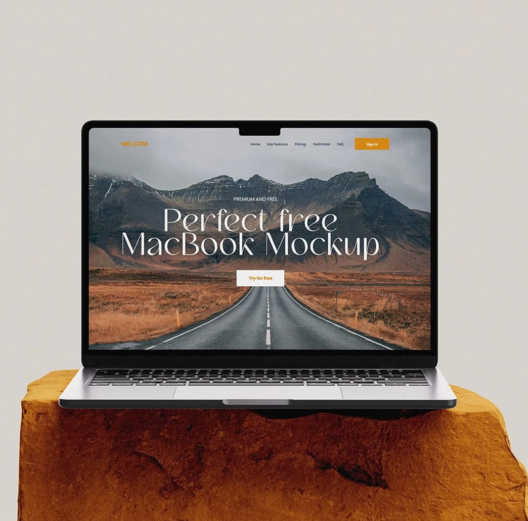Social Media